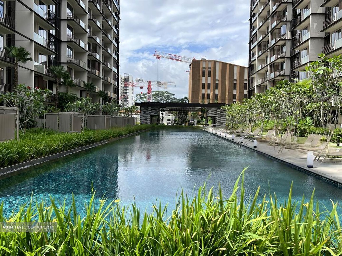 Dairy Farm Residences (D23), Apartment #553762671